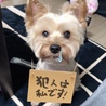 いたずらっ子なキッちゃん