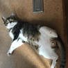 もるここ