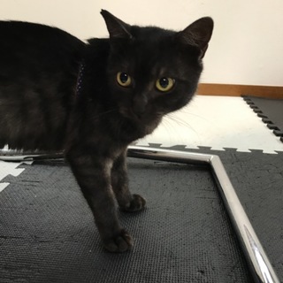 どなたか助けて下さい！