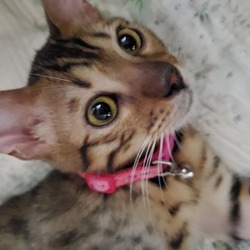 「毎日元気すぐるー」サムネイル2