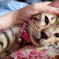 「毎日元気すぐるー」サムネイル3