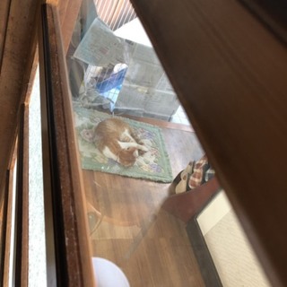 決まりました、ありがとうございます