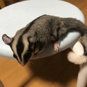 募集停止中
