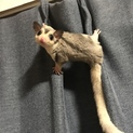 停止中