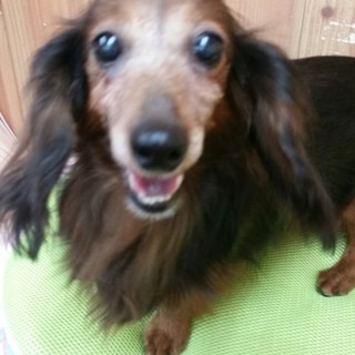 アーリントライアル中につき募集中止