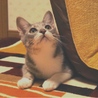 みお。