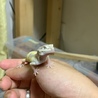 にむ26