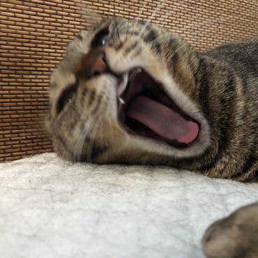 の写真