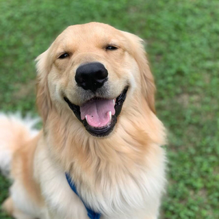 海（うみ・ゴールデン）