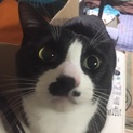 おっとりさんのゾロ君です。