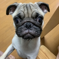 ユニ