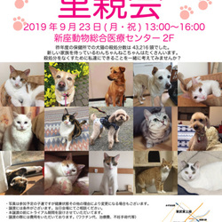 新座動物総合医療センター犬猫里親会