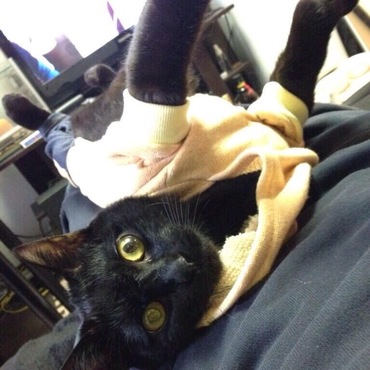 るりの写真
