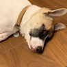 いつも白目を剥いて寝ます·····