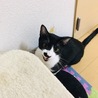 ミルク