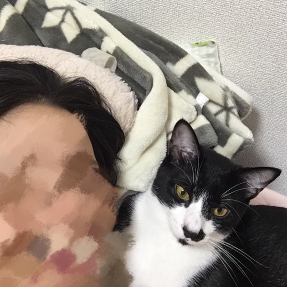 ミルクのカバー写真