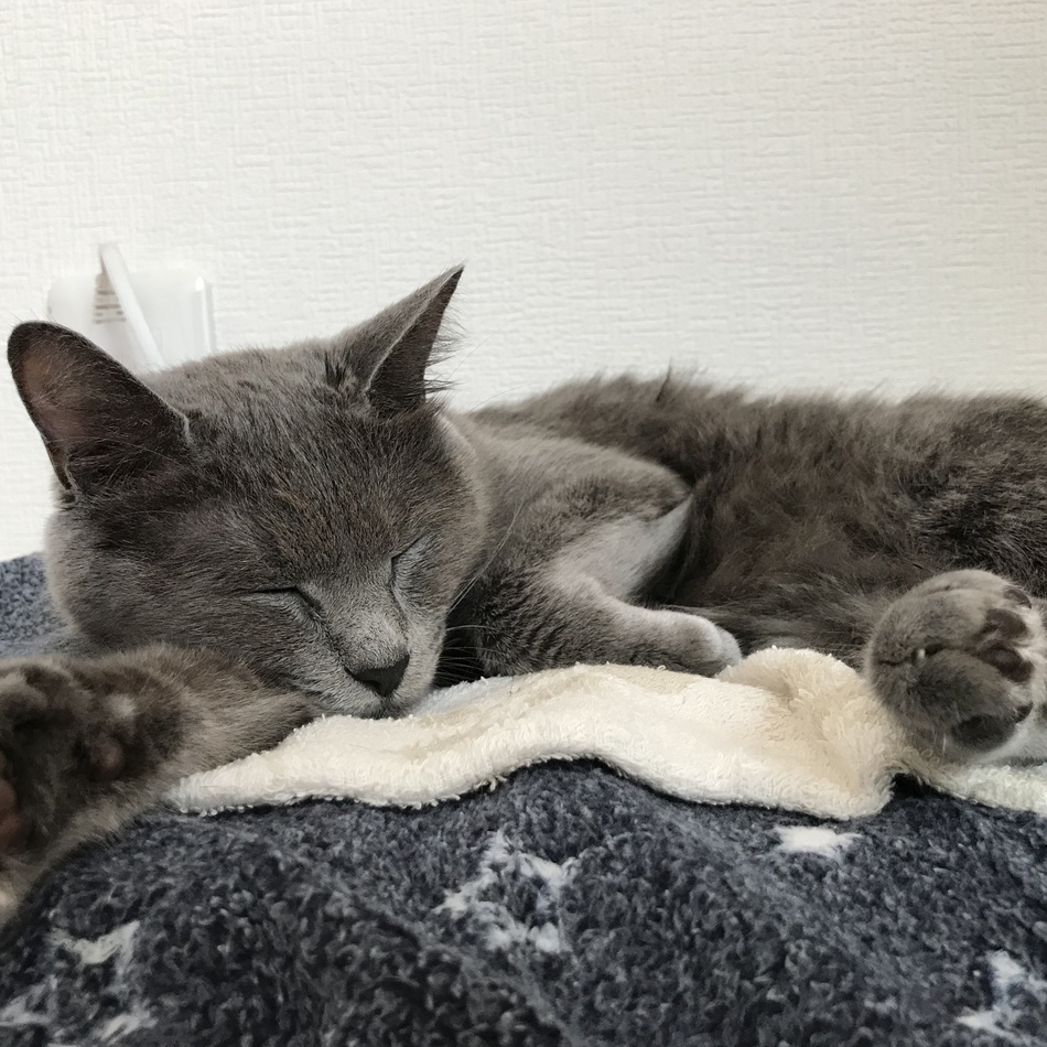 姫のカバー写真
