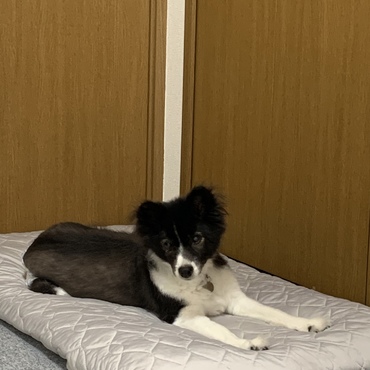 の写真