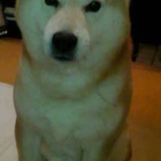 宜しくお願いします。