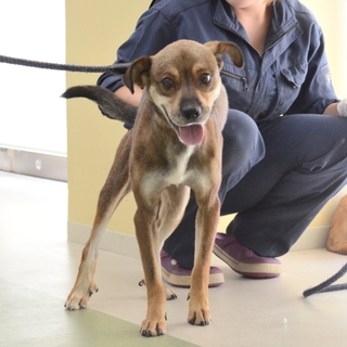 ◆ここから出して◆クリックリな瞳の”くりりん君”