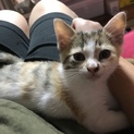 生後1ヶ月半位