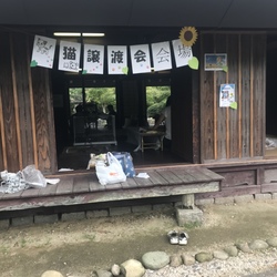 保護猫の譲渡会In山口県 サムネイル2