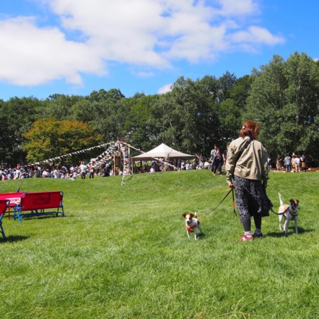 ひとみ68のカバー写真