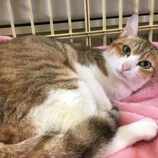 腎臓を1つ失いました…