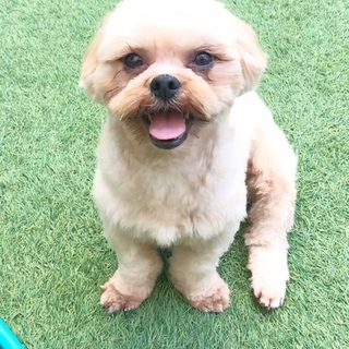 メチャクチャ明るい小夏さん