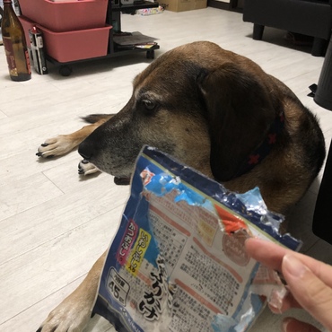 ふりかけを盗み食いして反省中。