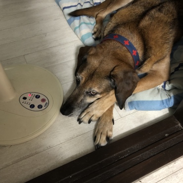 構ってアピール中。