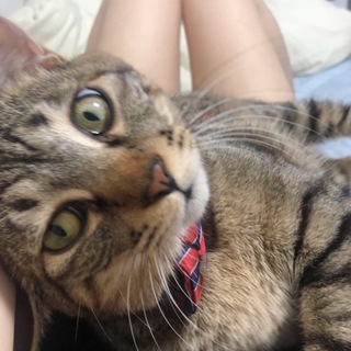 みんな大好き「ネリ君」