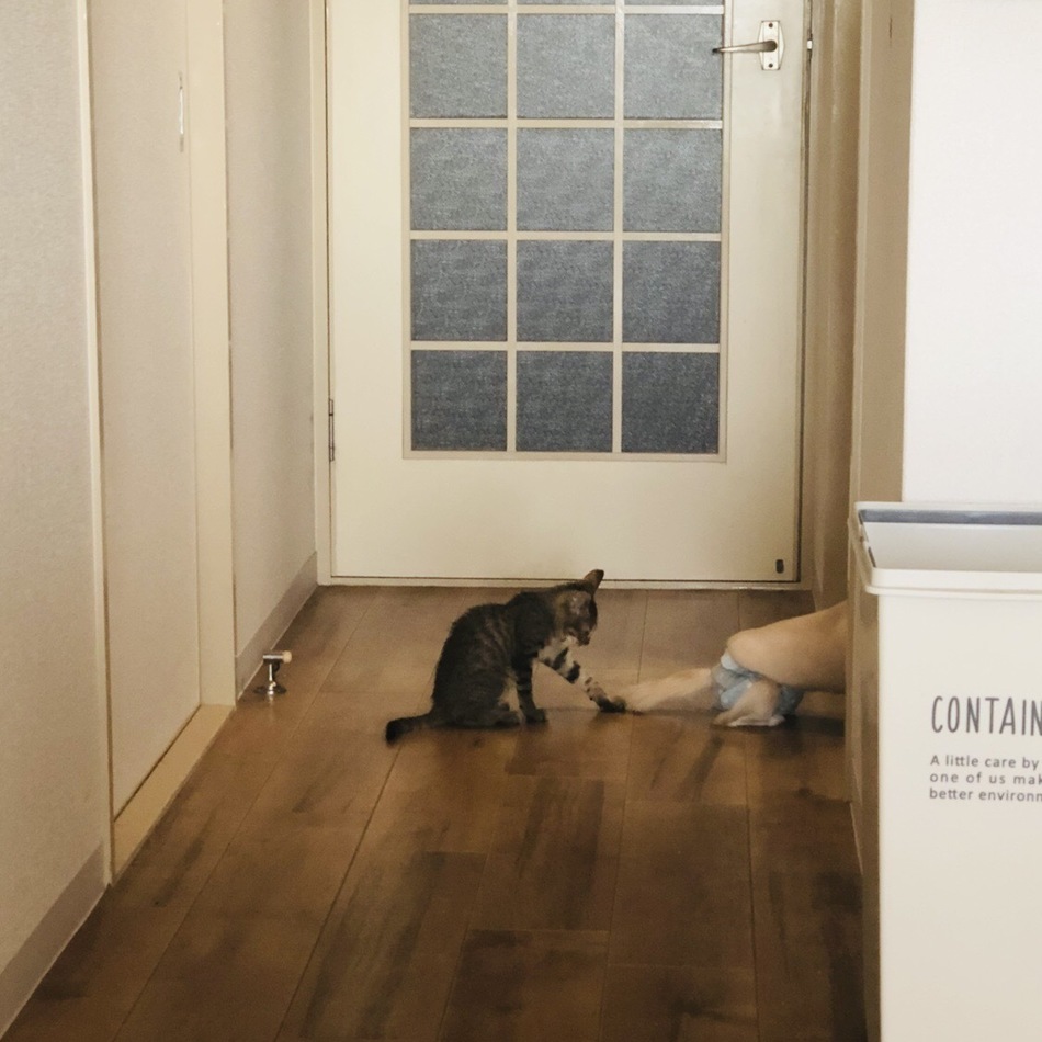 Legendのカバー写真