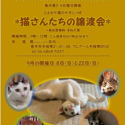 ◎大阪府豊中市・9月22日(日)猫さんたちの譲渡会開催◎