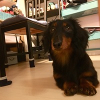 バロン
