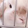 のこのこ0204
