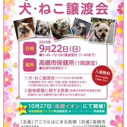 アニマルはにまる高槻による犬・猫譲渡会