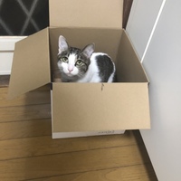 こころ