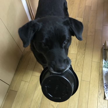 おかわり