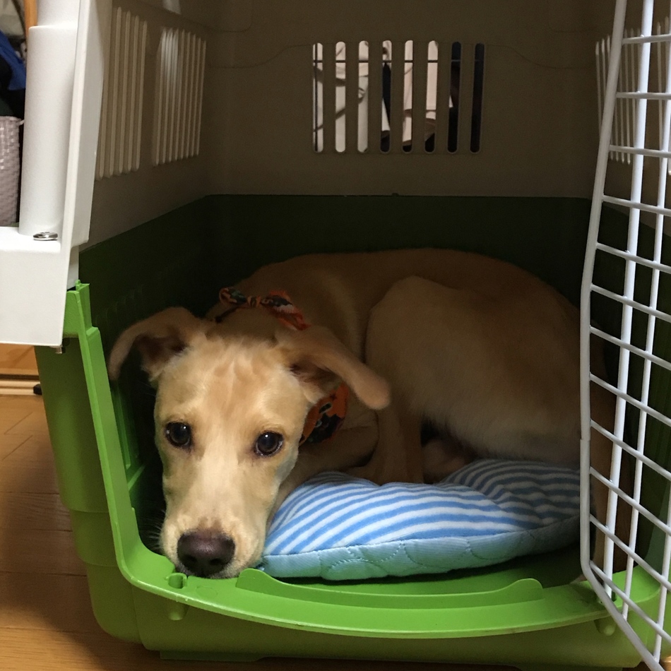 青空  そらのカバー写真