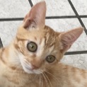 里親さんに恵まれ兄弟で迎えて頂けました