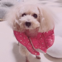 ベリー