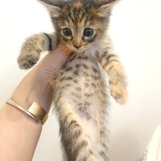 甘えん坊❤️にいな