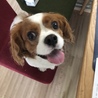 笑顔
