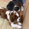 待ってるんです。