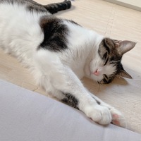 くうた