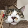 の写真