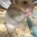 里親の皆様ありがとうございました