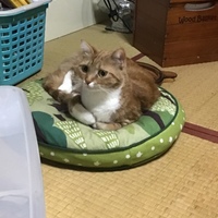 あめ