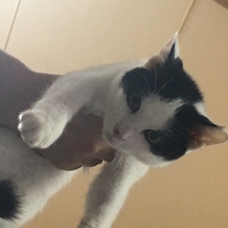 甘えん坊な可愛い子♪